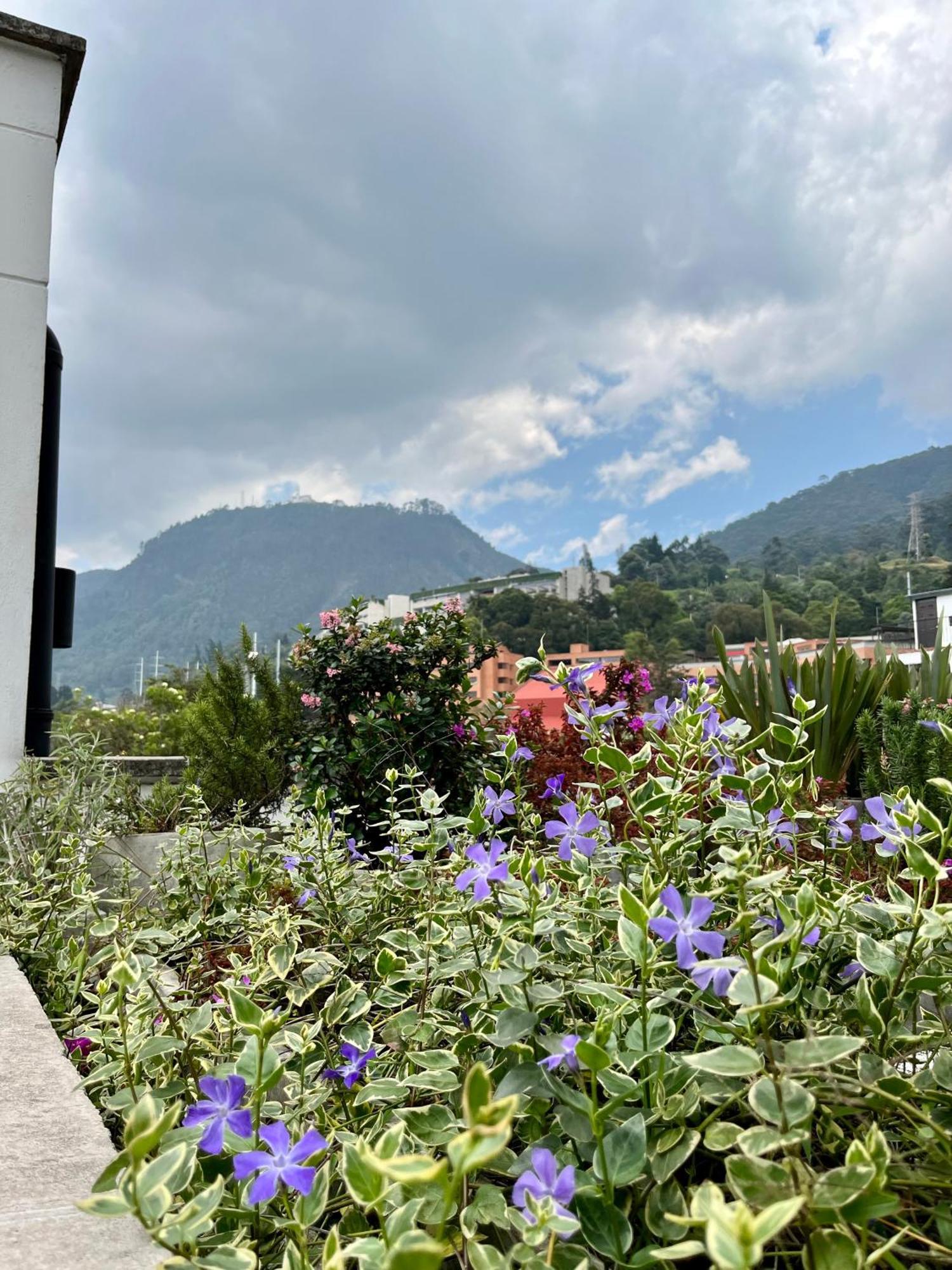 Apartment Modern Loft, View-town-la Candelaria Neighborhood Bogotá
